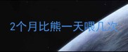 2个月比熊一天喂几次