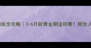 边牧社会化训练全攻略3-6月龄黄金期这样教陌生人恐惧退退退