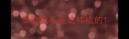 泰迪梳毛是这样梳的