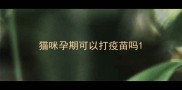 猫咪孕期可以打疫苗吗