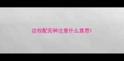 边牧配完种注意什么意思
