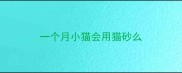 一个月小猫会用猫砂么
