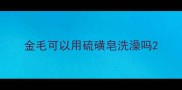 金毛可以用硫磺皂洗澡吗