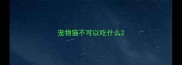 宠物猫不可以吃什么