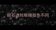陨石边牧眼睛颜色不同