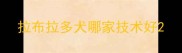 拉布拉多犬哪家技术好