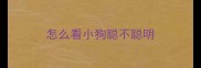怎么看小狗聪不聪明