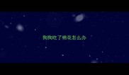 狗狗吃了棉花怎么办