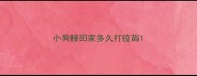小狗接回家多久打疫苗