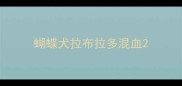 蝴蝶犬拉布拉多混血