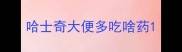 哈士奇大便多吃啥药