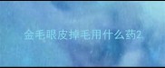 金毛眼皮掉毛用什么药