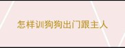 怎样训狗狗出门跟主人