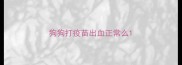 狗狗打疫苗出血正常么