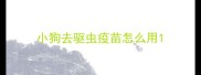 小狗去驱虫疫苗怎么用