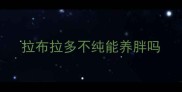 拉布拉多不纯能养胖吗