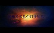 拉布拉多几个月换胎毛