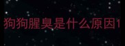 狗狗腥臭是什么原因