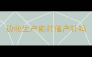 边牧生产能打催产针吗