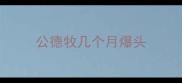 公德牧几个月爆头