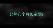 比熊几个月长定型