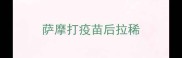 萨摩打疫苗后拉稀