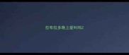 拉布拉多晚上爱叫吗