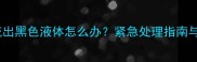 金毛犬眼角流出黑色液体怎么办紧急处理指南与常见病因全