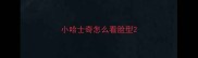 小哈士奇怎么看脸型