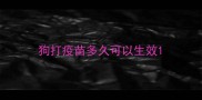 狗打疫苗多久可以生效