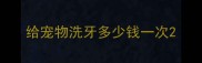 给宠物洗牙多少钱一次