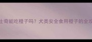 哈士奇能吃橙子吗犬类安全食用橙子的全攻略