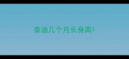 泰迪几个月长身高