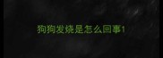 狗狗发烧是怎么回事