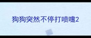 狗狗突然不停打喷嚏