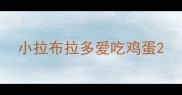 小拉布拉多爱吃鸡蛋