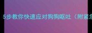 吐了别慌5步教你快速应对狗狗呕吐附紧急处理全攻略