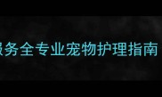 瑶海区宠物店洗澡服务全专业宠物护理指南附最新选择攻略