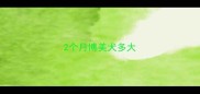 2个月博美犬多大