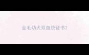 金毛幼犬双血统证书