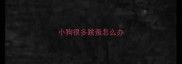 小狗很多跳蚤怎么办