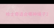 哈士奇适合哪种绳子