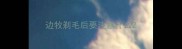 边牧剃毛后要注意什么
