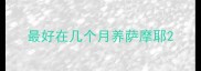 最好在几个月养萨摩耶
