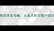 新手必看小狗饲养全攻略从选犬到日常护理的30个关键步骤