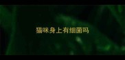 猫咪身上有细菌吗