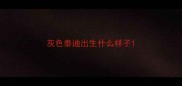 灰色泰迪出生什么样子