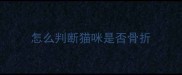 怎么判断猫咪是否骨折