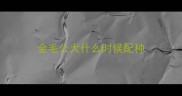 金毛公犬什么时候配种