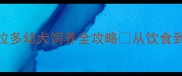 新手必看拉布拉多幼犬饲养全攻略从饮食到训练保姆级教程